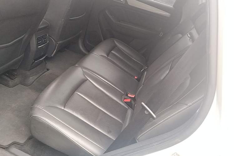 Used Roewe RX5 2018 20T Two-Wheel Drive Automatic Flagship Edition Left Rear Seat