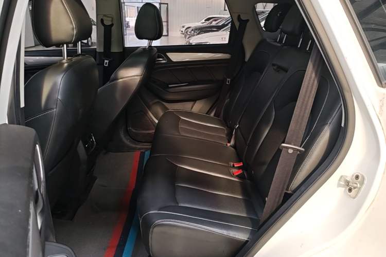 Used Roewe RX5 2018 20T Two-Wheel Drive Automatic Flagship Edition Left Rear Seat