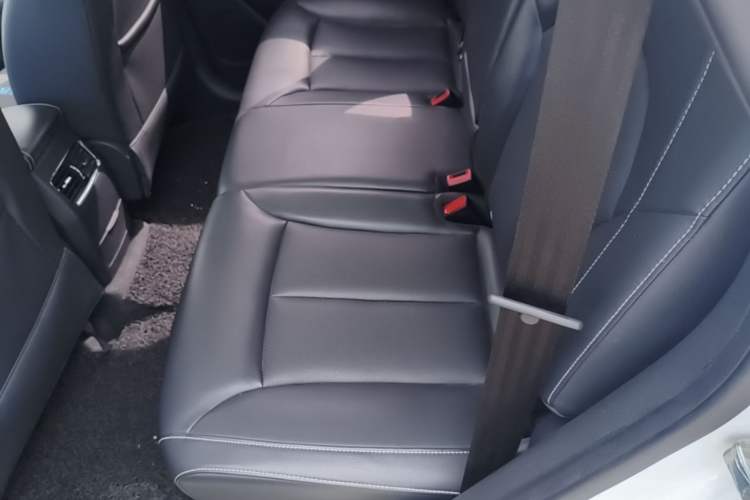 Used Roewe RX5 2018 20T Two-Wheel Drive Automatic Internet Smart Edition Left Rear Seat