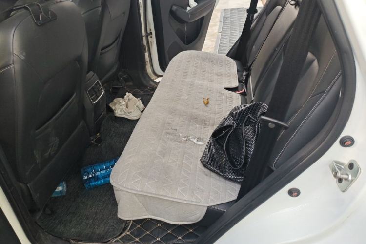 Used Roewe RX5 2018 20T Two-Wheel Drive Automatic Flagship Edition Left Rear Seat