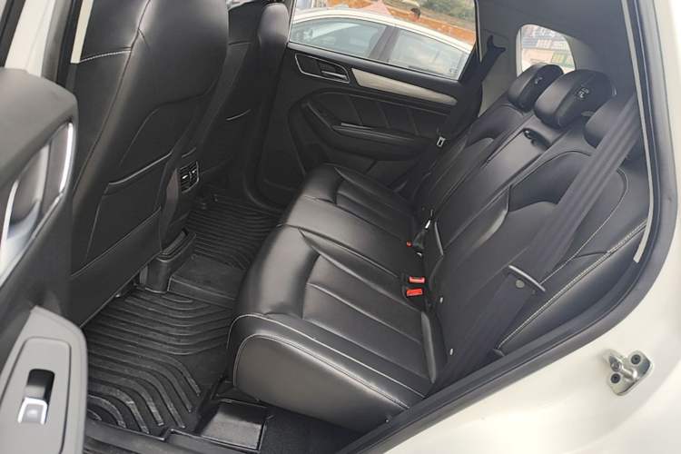 Used Roewe RX5 2018 20T Two-Wheel Drive Automatic Flagship Edition Left Rear Seat