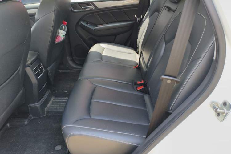 Used Roewe RX5 2018 20T Two-Wheel Drive Automatic Internet Smart Edition Left Rear Seat