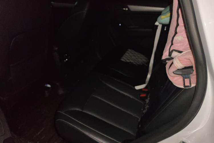 Used Roewe RX5 2018 20T Two-Wheel Drive Automatic Internet Smart Edition Left Rear Seat