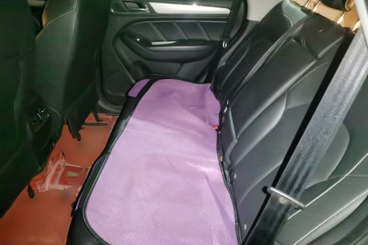 Used Roewe RX5 2019 20T Two-Wheel Drive Manual 4G Connect Platinum Edition Left Rear Seat