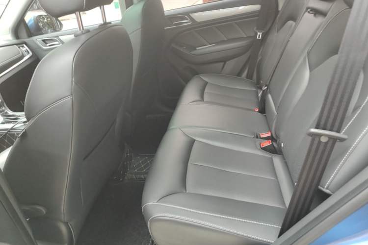 Used Roewe RX5 2019 20T Two-Wheel Drive Automatic Ali Smart Connectivity Platinum Edition Left Rear Seat