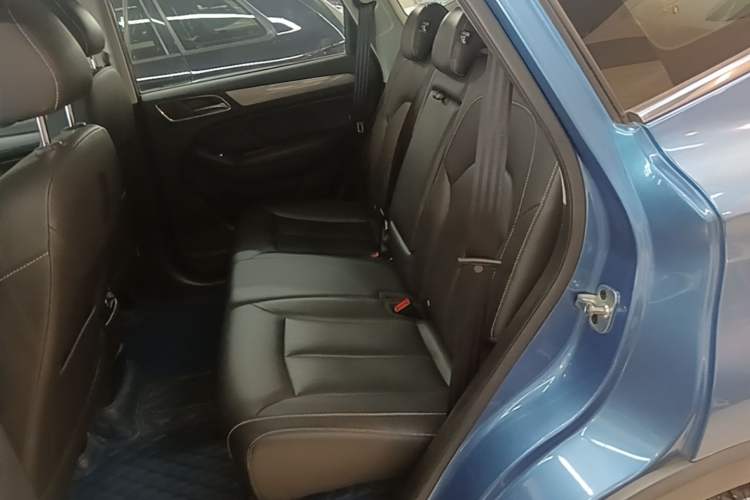 Used Roewe RX5 2019 20T Two-Wheel Drive Automatic Ali Smart Connectivity Platinum Edition Left Rear Seat