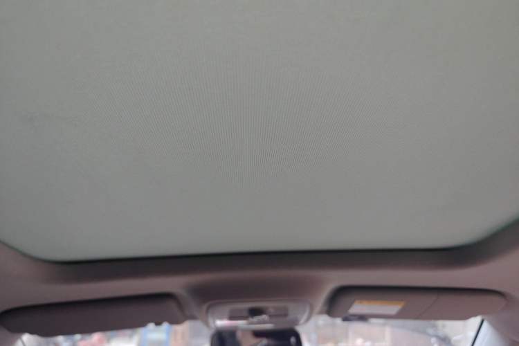 Used Roewe RX5 2019 20T Two-Wheel Drive Automatic Ali Smart Connectivity Platinum Edition Headliner