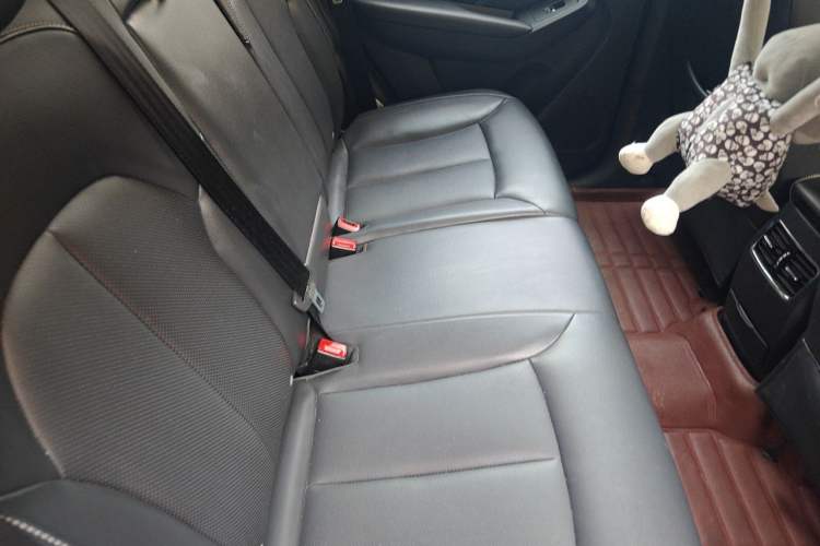 Used Roewe RX5 2019 20T Two-Wheel Drive Automatic Ali Smart Connectivity Platinum Edition Left Rear Seat
