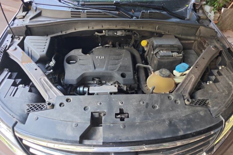 Used Roewe RX5 2019 20T Two-Wheel Drive Automatic Ali Smart Connectivity Platinum Edition Engine Bay