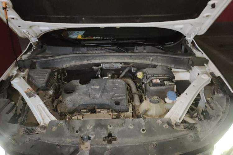 Used Roewe RX5 2019 20T Two-Wheel Drive Manual 4G Connect Platinum Edition Engine Bay