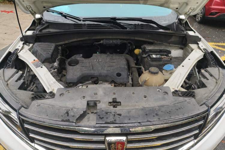 Used Roewe RX5 2019 20T Two-Wheel Drive Manual 4G Connect Platinum Edition Engine Bay