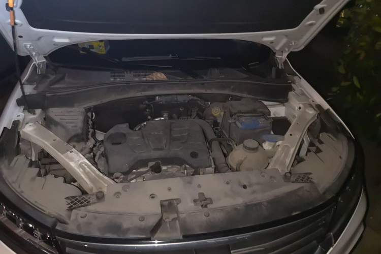 Used Roewe RX5 2019 20T Two-Wheel Drive Automatic Ali Smart Connectivity Platinum Edition Engine Bay