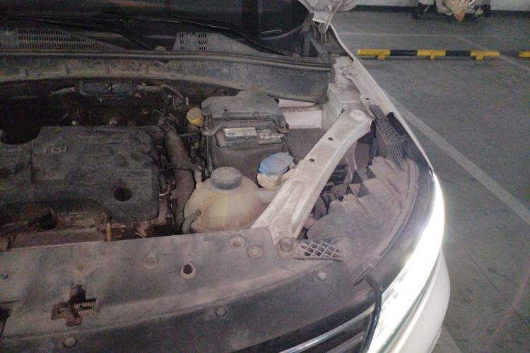Used Roewe RX5 2019 20T Two-Wheel Drive Automatic 4G Connected Platinum Edition Engine Bay Left
