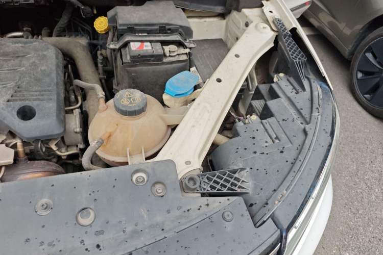 Used Roewe RX5 2019 20T Two-Wheel Drive Automatic 4G Connected Platinum Edition Engine Bay Left