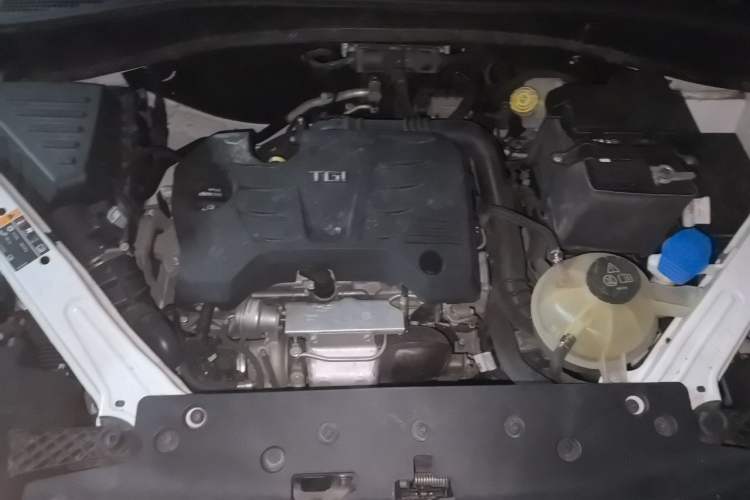 Used Roewe RX5 2019 20T Two-Wheel Drive Automatic Ali Smart Connectivity Platinum Edition Engine Bay