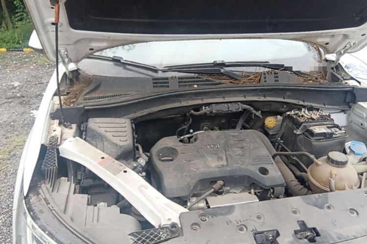 Used Roewe RX5 2019 20T Two-Wheel Drive Automatic Ali Smart Connectivity Platinum Edition Engine Bay Right