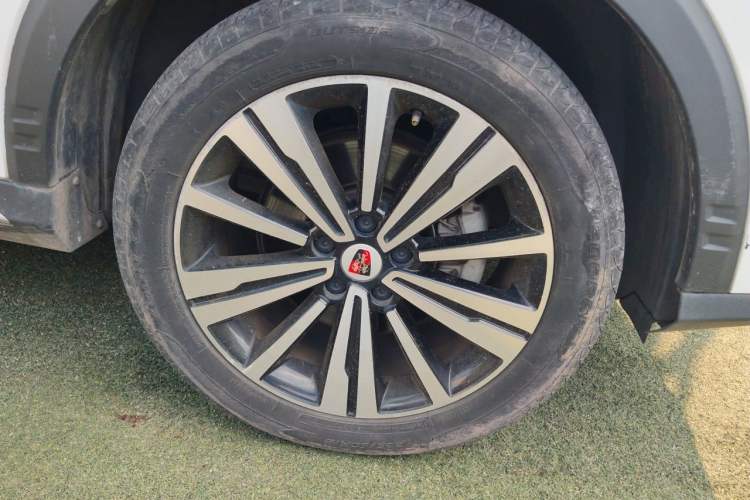 Used Roewe RX5 2019 20T Two-Wheel Drive Automatic 4G Connected Platinum Edition Exterior 1