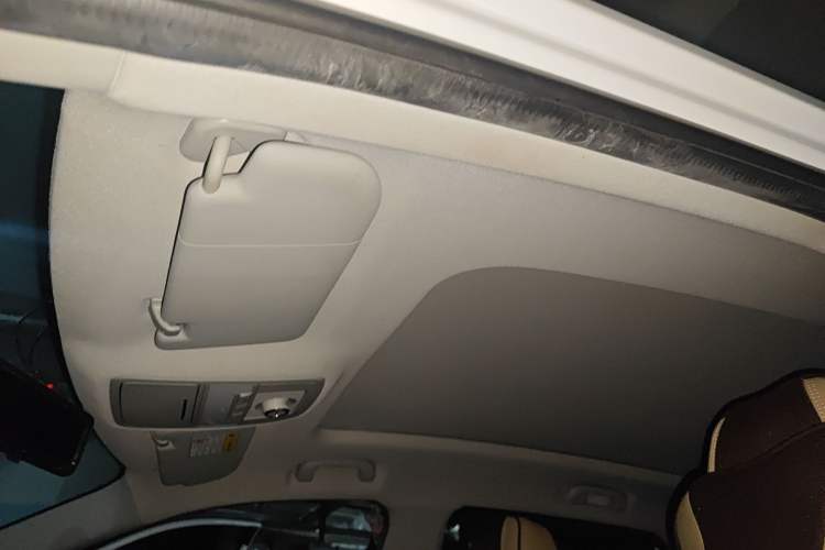 Used Roewe RX5 2019 20T Two-Wheel Drive Automatic 4G Connected Platinum Edition Headliner