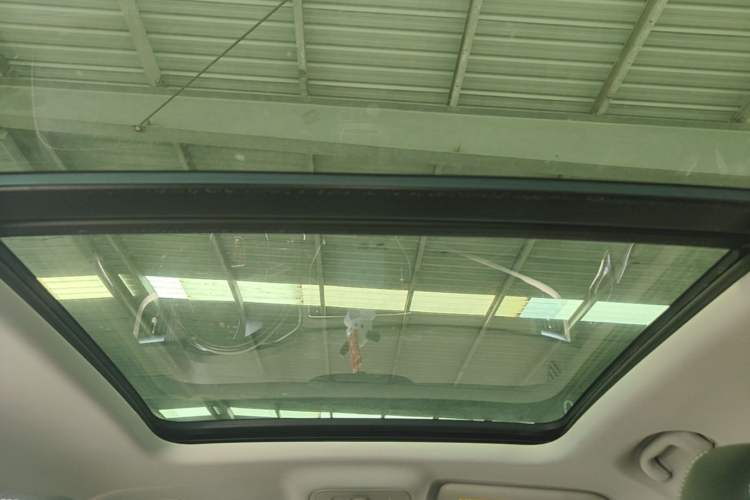 Used Roewe RX5 2019 20T Two-Wheel Drive Automatic 4G Connected Platinum Edition Headliner