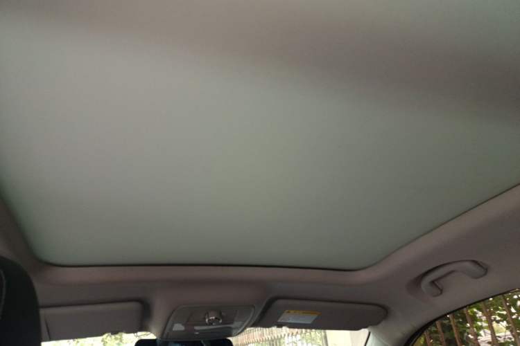 Used Roewe RX5 2019 20T Two-Wheel Drive Automatic 4G Connected Platinum Edition Headliner