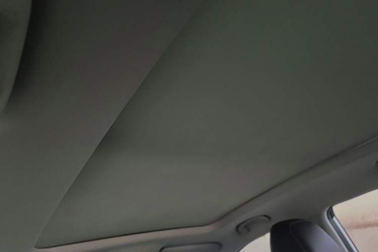 Used Roewe RX5 2019 20T Two-Wheel Drive Automatic 4G Connected Platinum Edition Headliner