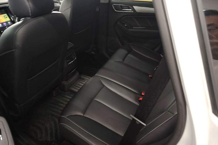Used Roewe RX5 2019 20T Two-Wheel Drive Automatic 4G Connected Platinum Edition Left Rear Seat
