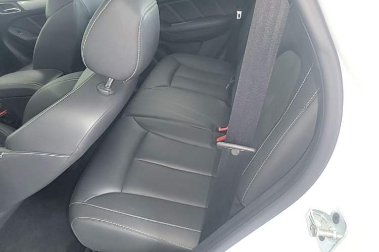 Used Roewe RX5 2019 20T Two-Wheel Drive Automatic Ali Smart Connectivity Platinum Edition Left Rear Seat