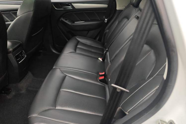 Used Roewe RX5 2019 20T Two-Wheel Drive Automatic 4G Connected Platinum Edition Left Rear Seat
