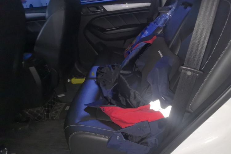 Used Roewe RX5 2019 20T Two-Wheel Drive Manual 4G Connect Platinum Edition Left Rear Seat