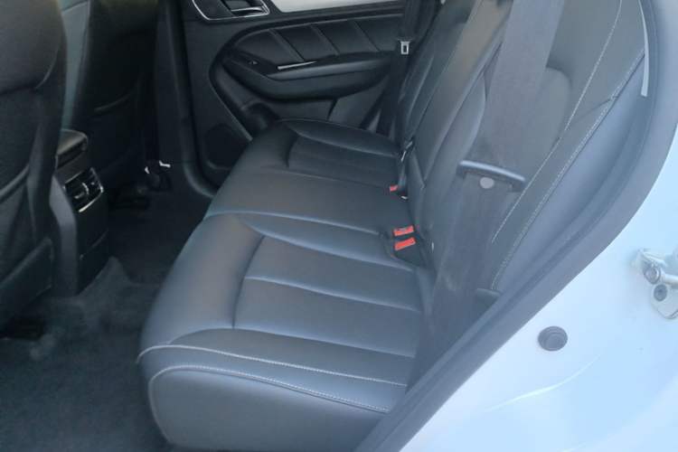 Used Roewe RX5 2019 20T Two-Wheel Drive Automatic 4G Connected Platinum Edition Left Rear Seat