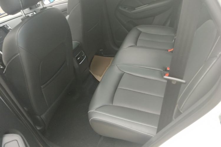 Used Roewe RX5 2019 20T Two-Wheel Drive Automatic Ali Smart Connectivity Platinum Edition Left Rear Seat
