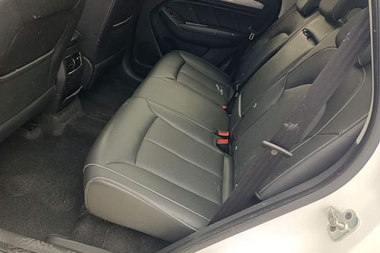 Used Roewe RX5 2019 20T Two-Wheel Drive Manual Ali Smart Network Platinum Edition Left Rear Seat