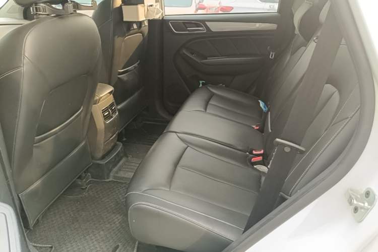 Used Roewe RX5 2019 20T Two-Wheel Drive Automatic 4G Connected Platinum Edition Left Rear Seat