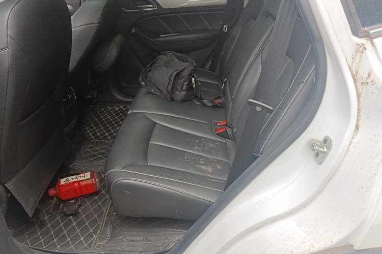 Used Roewe RX5 2019 20T Two-Wheel Drive Automatic Ali Smart Connectivity Platinum Edition Left Rear Seat