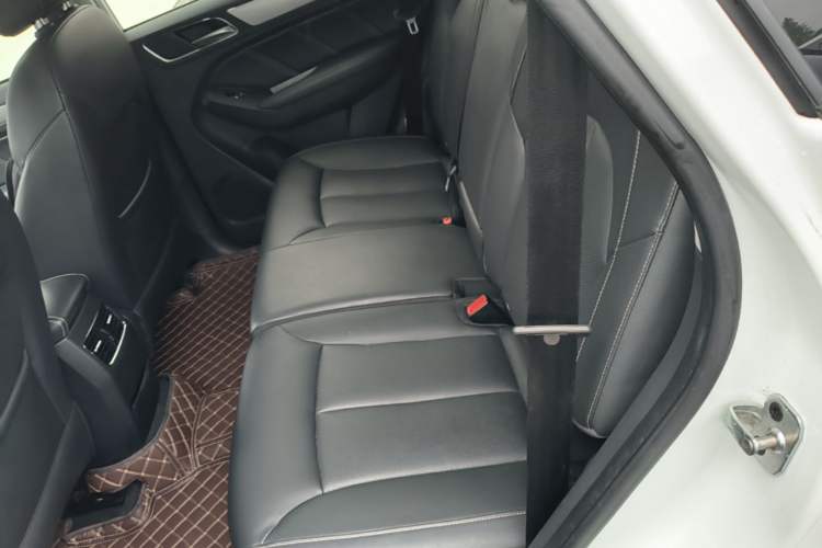 Used Roewe RX5 2019 20T Two-Wheel Drive Automatic 4G Connected Platinum Edition Left Rear Seat