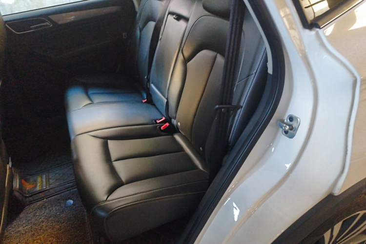 Used Roewe RX5 2019 20T Two-Wheel Drive Automatic 4G Connected Platinum Edition Left Rear Seat