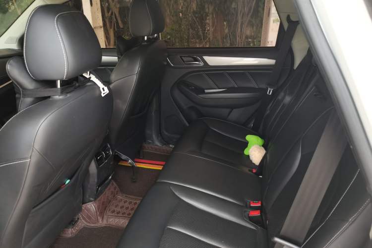 Used Roewe RX5 2019 20T Two-Wheel Drive Automatic 4G Connected Platinum Edition Left Rear Seat