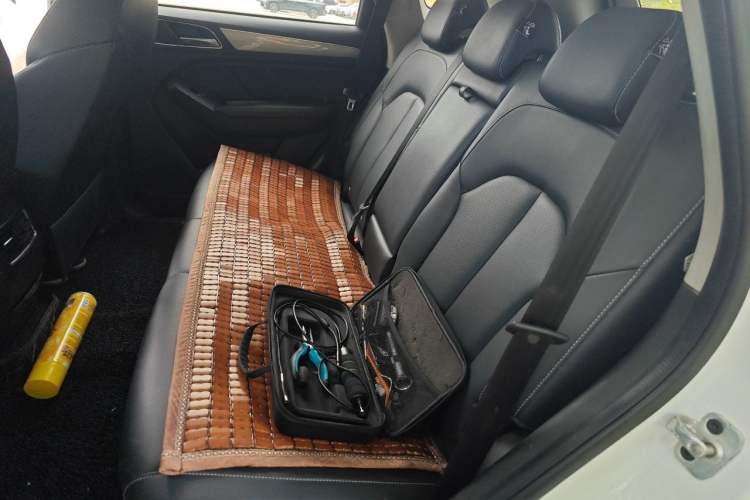 Used Roewe RX5 2019 20T Two-Wheel Drive Manual 4G Connect Platinum Edition Left Rear Seat
