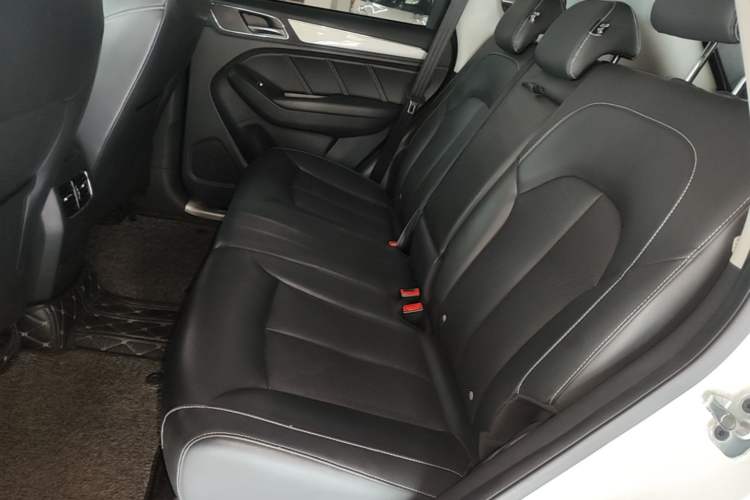 Used Roewe RX5 2019 20T Two-Wheel Drive Automatic 4G Connected Platinum Edition Left Rear Seat