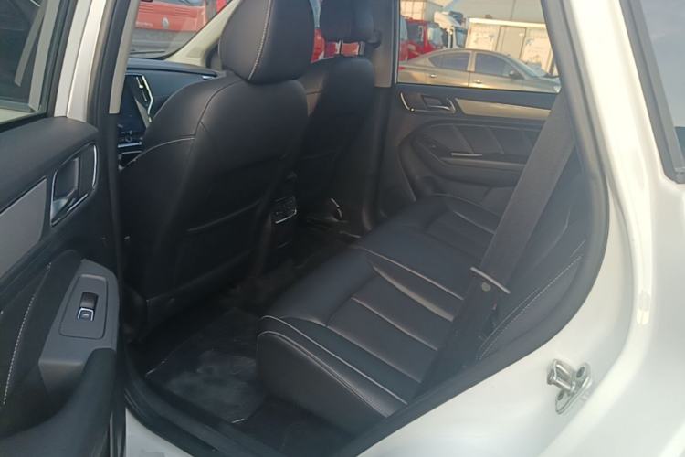 Used Roewe RX5 2019 20T Two-Wheel Drive Automatic Ali Smart Connectivity Platinum Edition Left Rear Seat