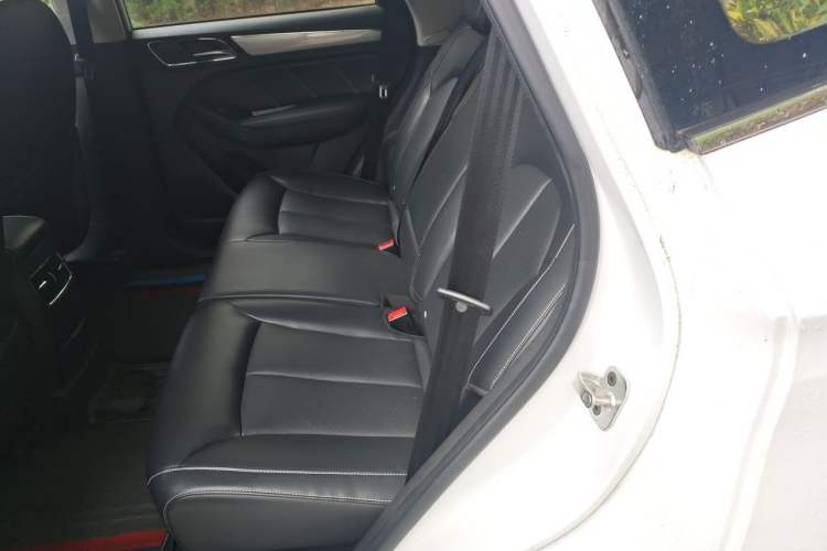 Used Roewe RX5 2019 20T Two-Wheel Drive Automatic 4G Connected Platinum Edition Left Rear Seat