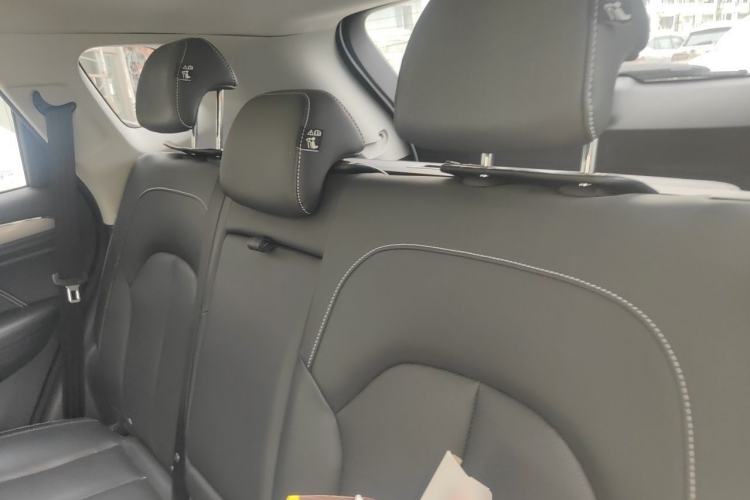 Used Roewe RX5 2019 20T Two-Wheel Drive Automatic 4G Connected Platinum Edition Left Rear Seat