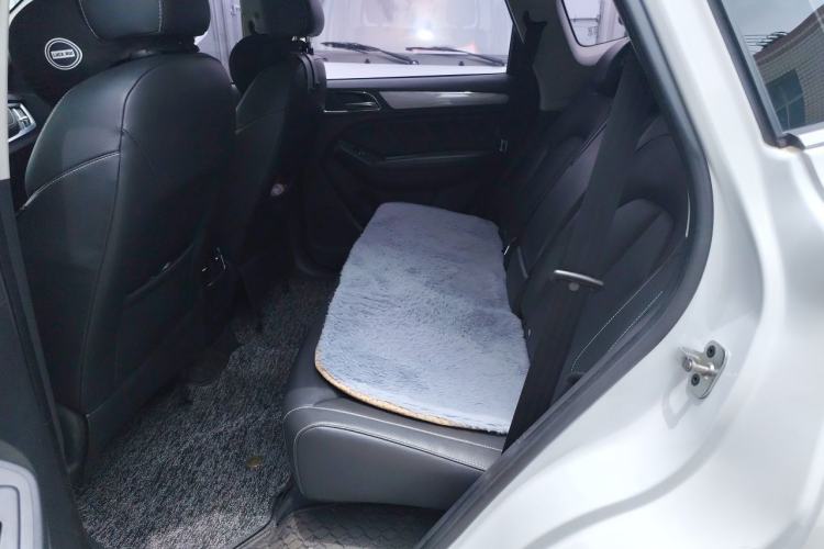 Used Roewe RX5 2019 20T Two-Wheel Drive Automatic 4G Connected Platinum Edition Left Rear Seat