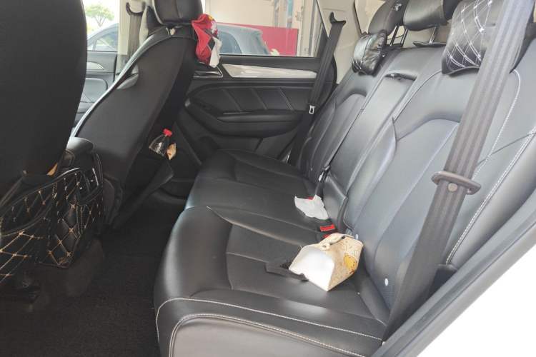Used Roewe RX5 2019 20T Two-Wheel Drive Manual Ali Smart Network Platinum Edition Left Rear Seat