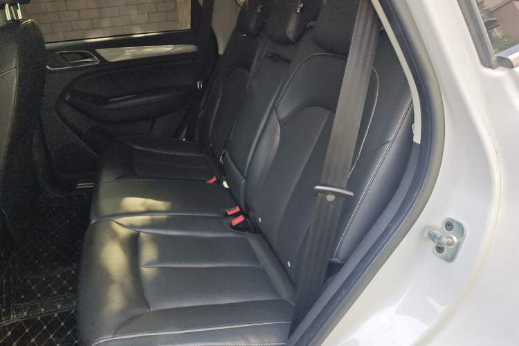 Used Roewe RX5 2019 20T Two-Wheel Drive Automatic 4G Connected Platinum Edition Left Rear Seat