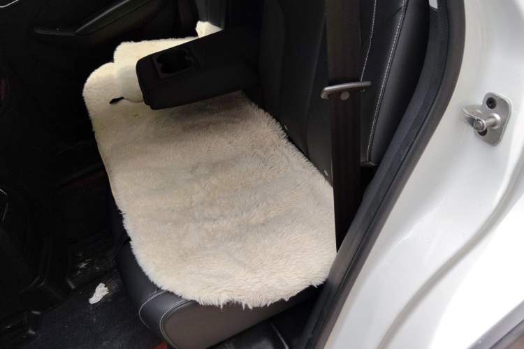 Used Roewe RX5 2019 20T Two-Wheel Drive Automatic 4G Connected Platinum Edition Left Rear Seat