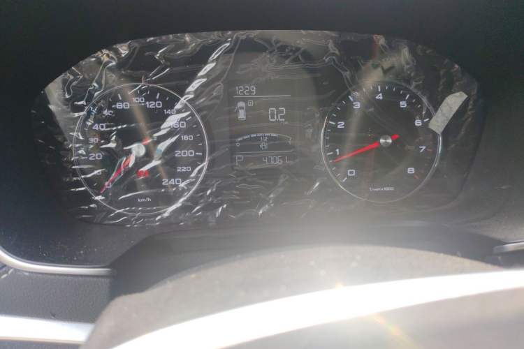 Used Roewe RX5 2019 20T Two-Wheel Drive Automatic 4G Connected Platinum Edition Odometer Close Up