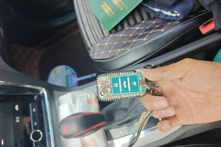 Used Roewe RX5 2019 20T Two-Wheel Drive Automatic 4G Connected Platinum Edition Vehicle Key