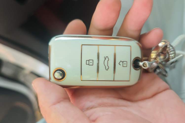 Used Roewe RX5 2019 20T Two-Wheel Drive Automatic 4G Connected Platinum Edition Vehicle Key