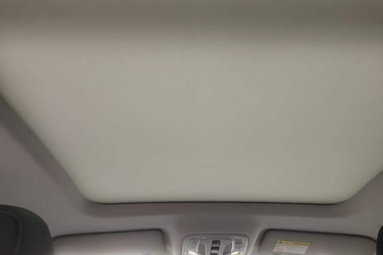 Used Roewe RX5 2020 PLUS 300TGI Automatic Ali National Trend Flagship Edition Headliner